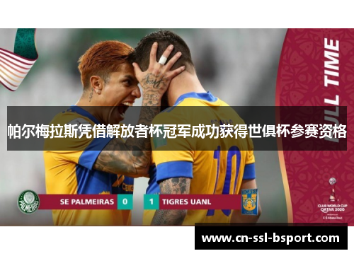 帕尔梅拉斯凭借解放者杯冠军成功获得世俱杯参赛资格